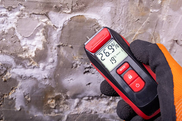 Best Commercial Mold Removal  in Sherwood, WI
