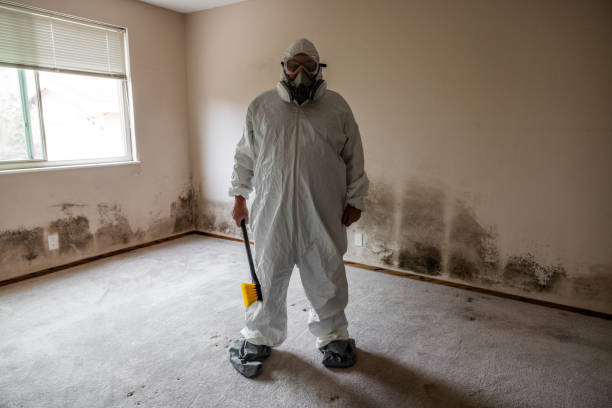 Best Mold Testing  in Sherwood, WI