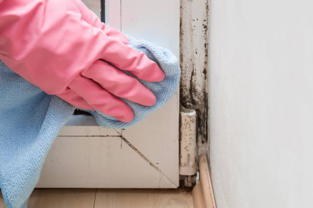 Crawl Space Mold Removal in Sherwood, WI
