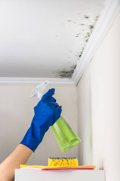 Best Mold Testing  in Sherwood, WI